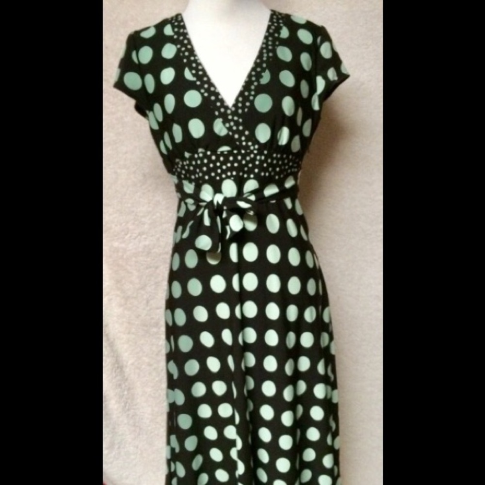 Dressbarn size 4 dress. Authentic and gorgeous.